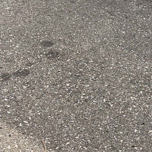 Meet your Posher, Joshua - Picture 1 of 1